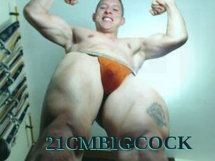 21CMBIGCOCK
