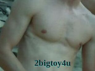 2bigtoy4u