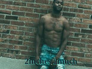 2inches_2much
