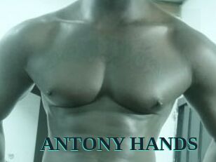 ANTONY_HANDS