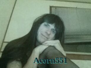 Acorn551