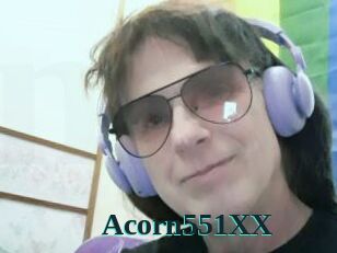 Acorn551XX