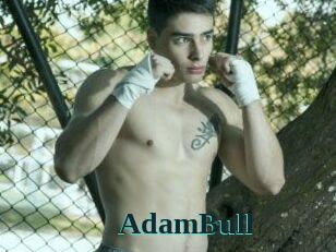 AdamBull