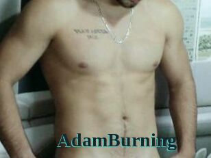 AdamBurning