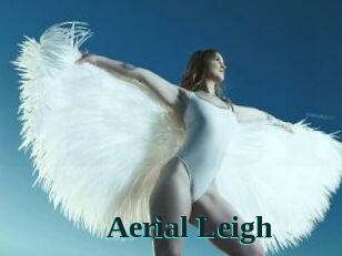 Aerial_Leigh Melody Melons