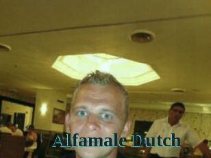 Alfamale_Dutch Melody Melons
