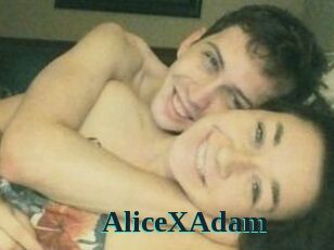 Alice_X_Adam
