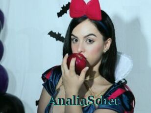 AnaliaSchet