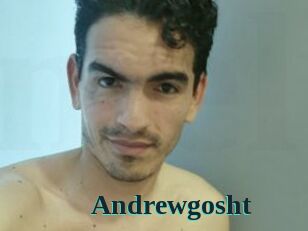 Andrewgosht