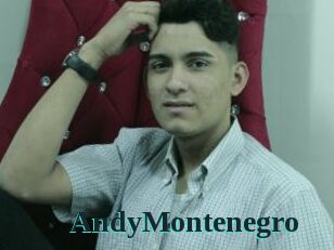 AndyMontenegro