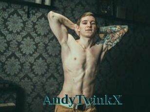 AndyTwinkX