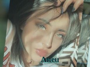Aneu