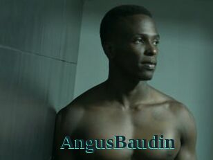 AngusBaudin