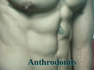 Anthrodomis