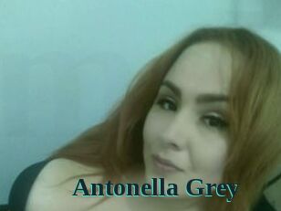 Antonella_Grey