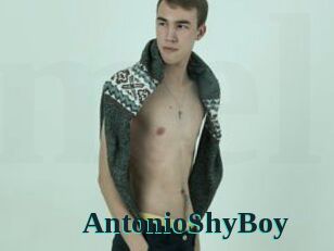 AntonioShyBoy