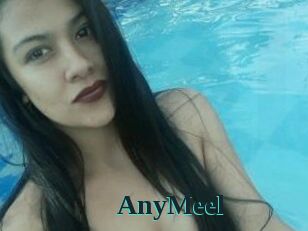 AnyMeel