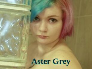 Aster_Grey