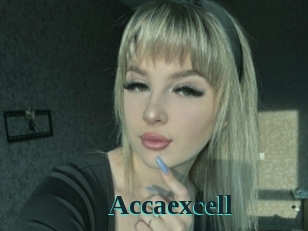 Accaexcell