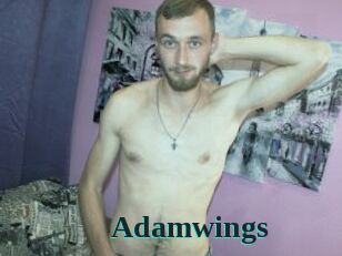 Adamwings