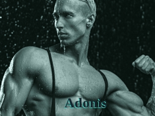 Adonis_