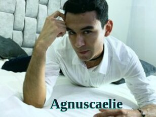 Agnuscaelie
