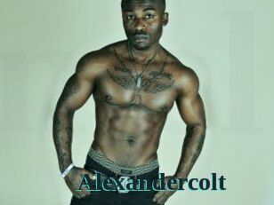 Alexandercolt