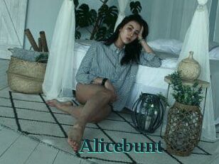 Alicebunt