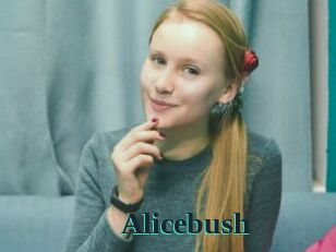 Alicebush