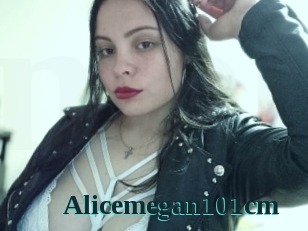 Alicemegan101cm