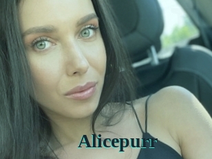 Alicepurr