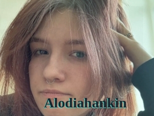 Alodiahankin