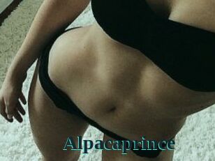 AlpacaPrince
