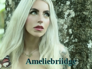 Ameliebriidge