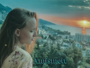 Amismett
