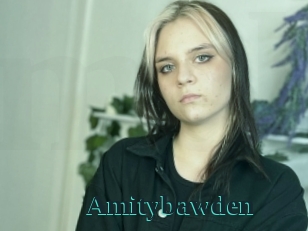 Amitybawden