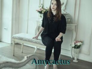 Amycactus