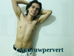 Andruwpervert