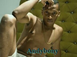 Andybony