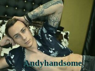 Andyhandsome