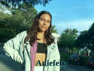 Aniefelix