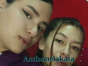 Anthonelakata