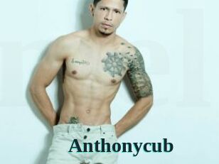 Anthonycub