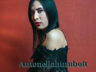 Antonellahumbolt