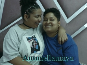Antonellamaya