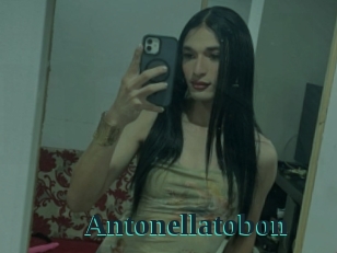 Antonellatobon