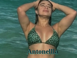 Antonellla