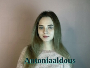 Antoniaaldous
