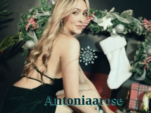 Antoniaarose