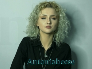 Antoniabeese